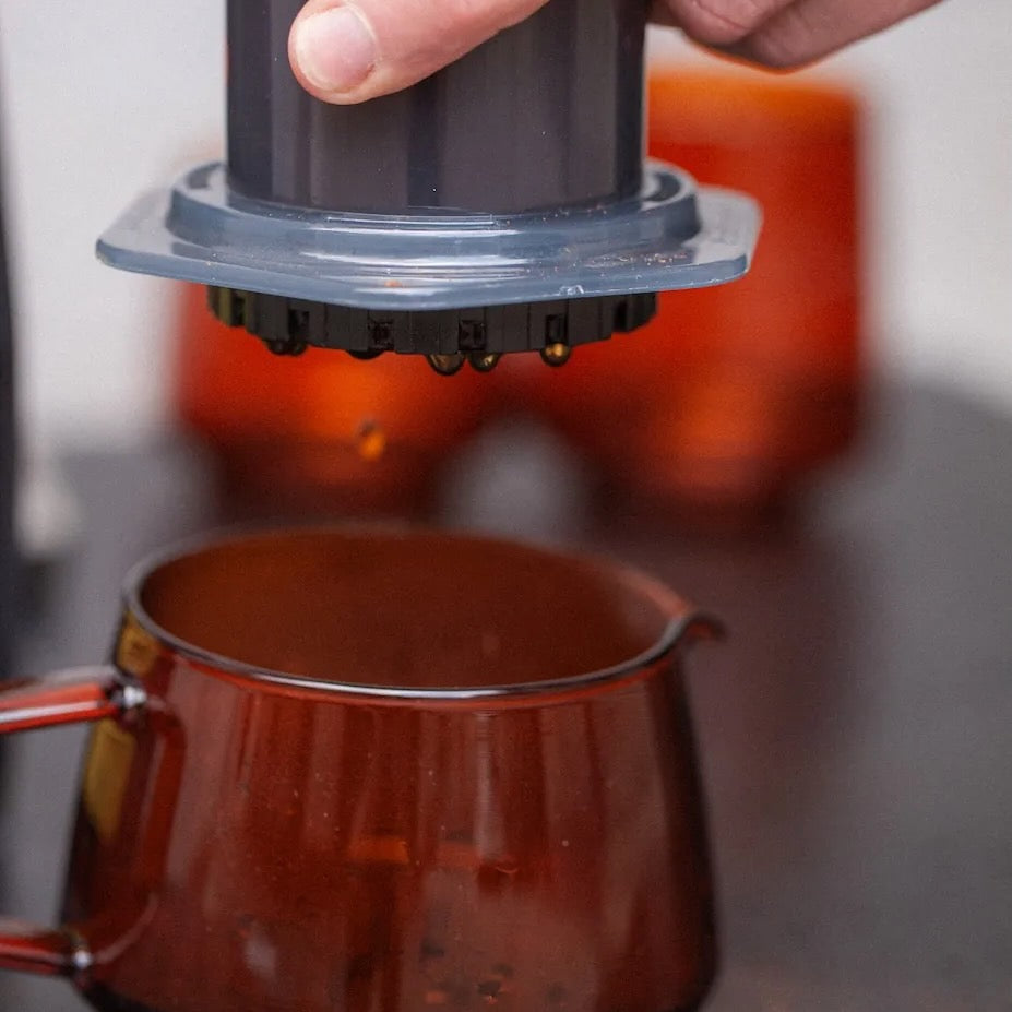 Aeropress brew guide