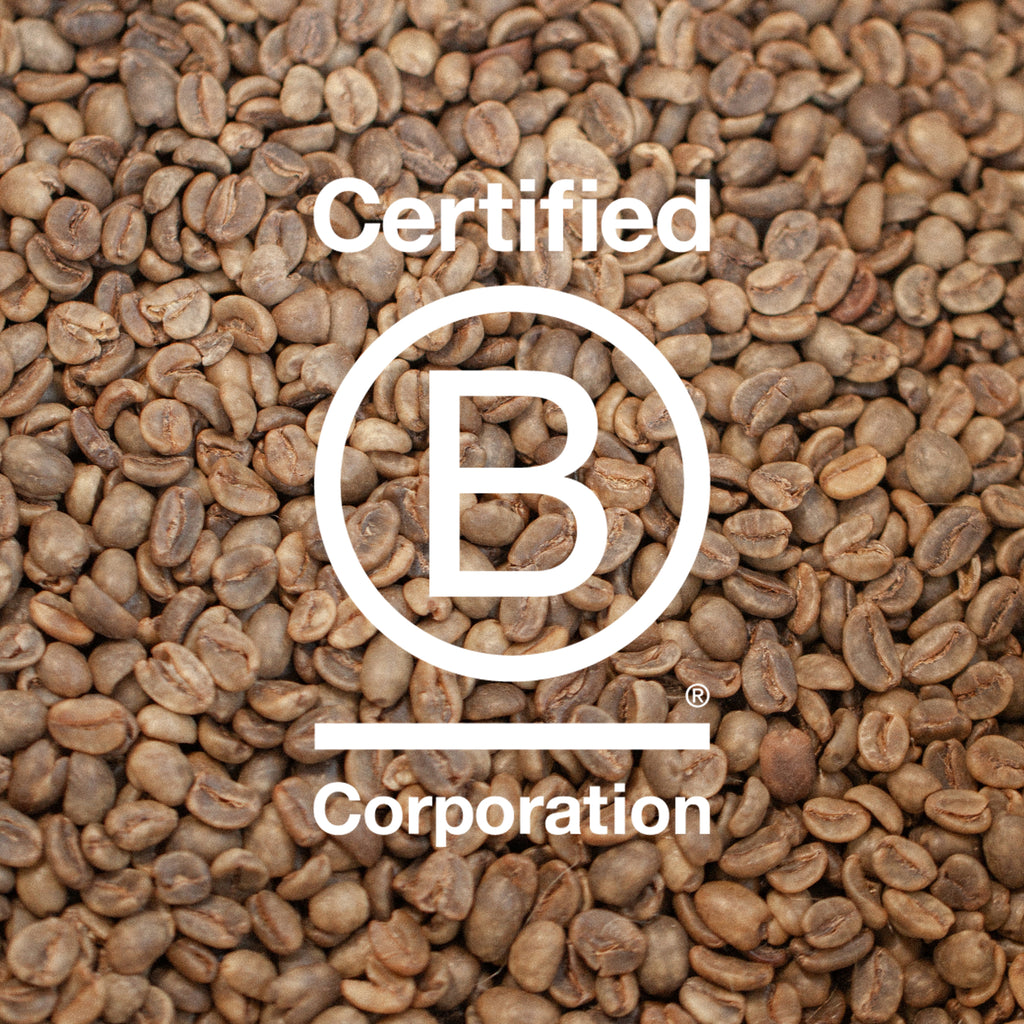 KALVE Coffee's Story of the Journey to B Corp