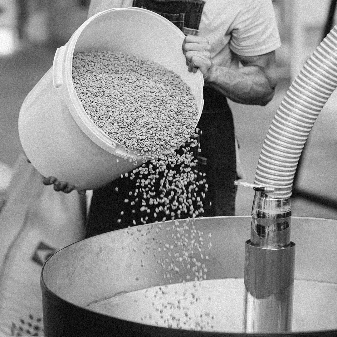 Person pouring coffee beans from a white bucket into a large metal container.