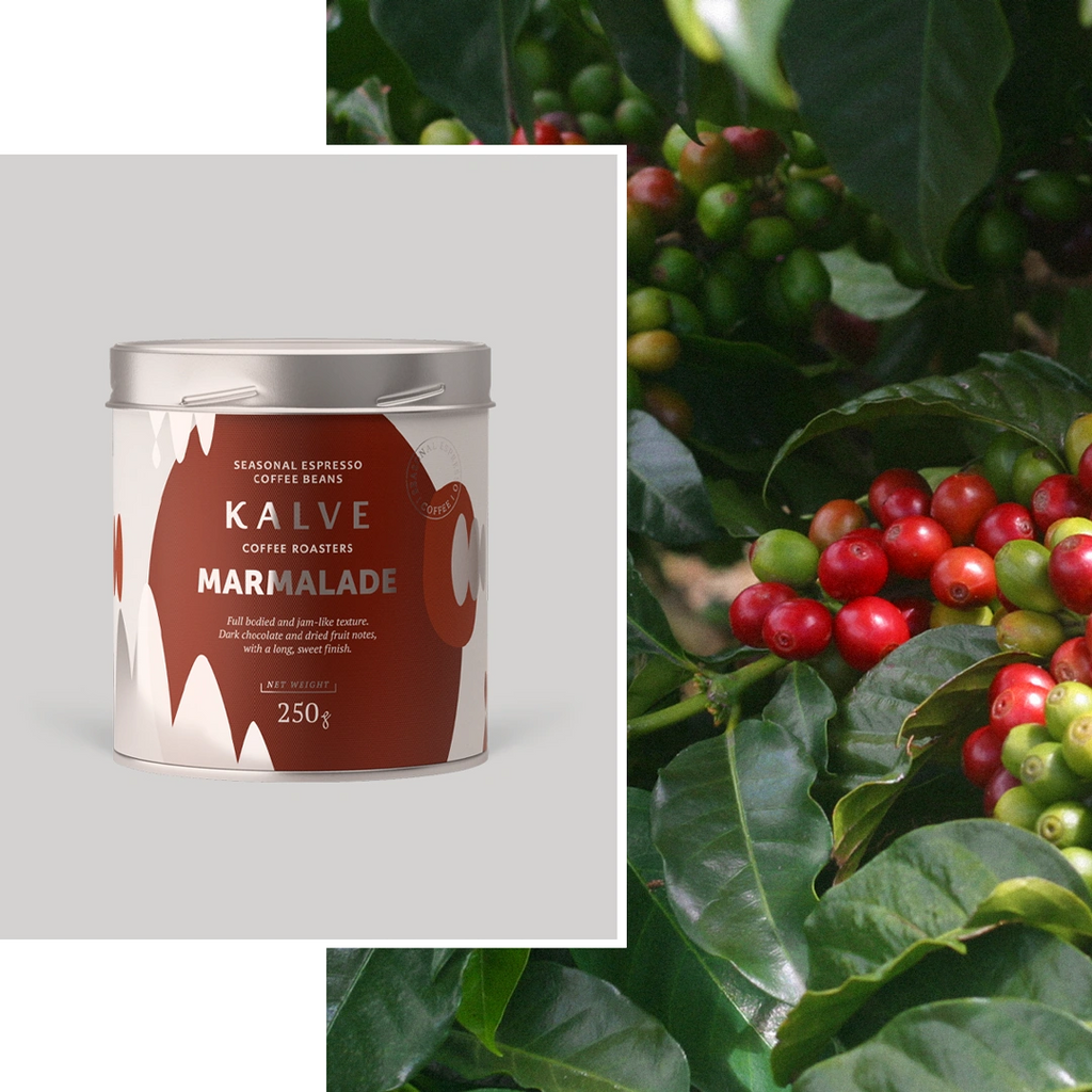 Kalve Coffee sustainability