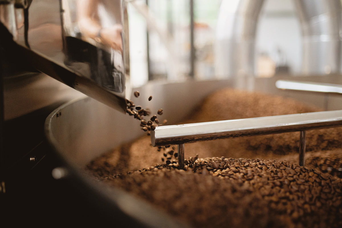 Kalve Riga Contact – Kalve Coffee Roasters